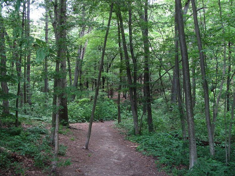 Wilson Mountain Reservation Alchetron The Free Social Encyclopedia