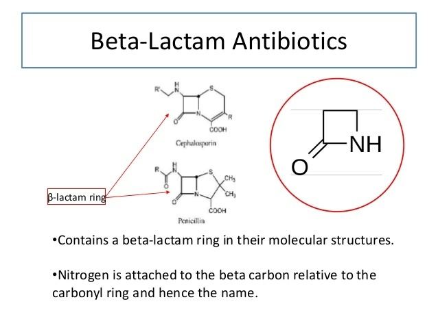 Β-lactam antibiotic Beta Lactam Antibiotics