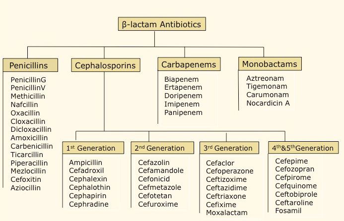 Β-lactam antibiotic Beta Lactam Antibiotics List Classification Indications and