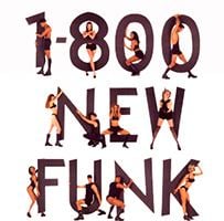 1-800-NEW-FUNK wwwprincevaultcomimages2251800newfunkalbumjpg