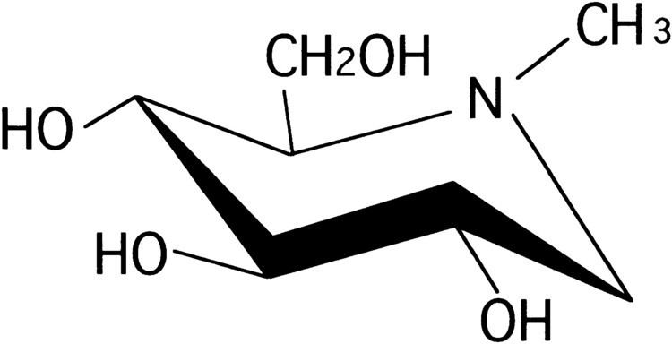1-Deoxynojirimycin NMethyl1Deoxynojirimycin MOR14 an Glucosidase Inhibitor