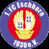 1. FC Eschborn httpsuploadwikimediaorgwikipediaenthumb3