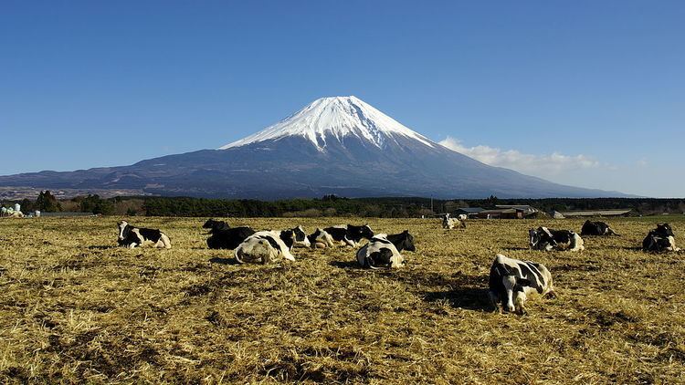 100 Famous Japanese Mountains