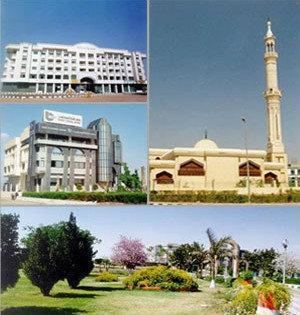 tenth of ramadan city development authority photos