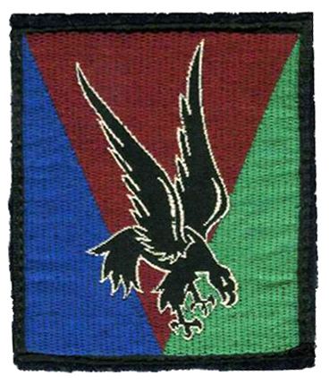 10th Parachute Division (France)