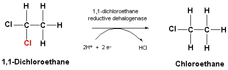 1,1-Dichloroethane EAWAGBBD reaction reacID r1008