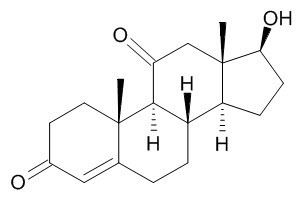 11-Ketotestosterone wwwtotalflexblogcomwpcontentuploads11ketote