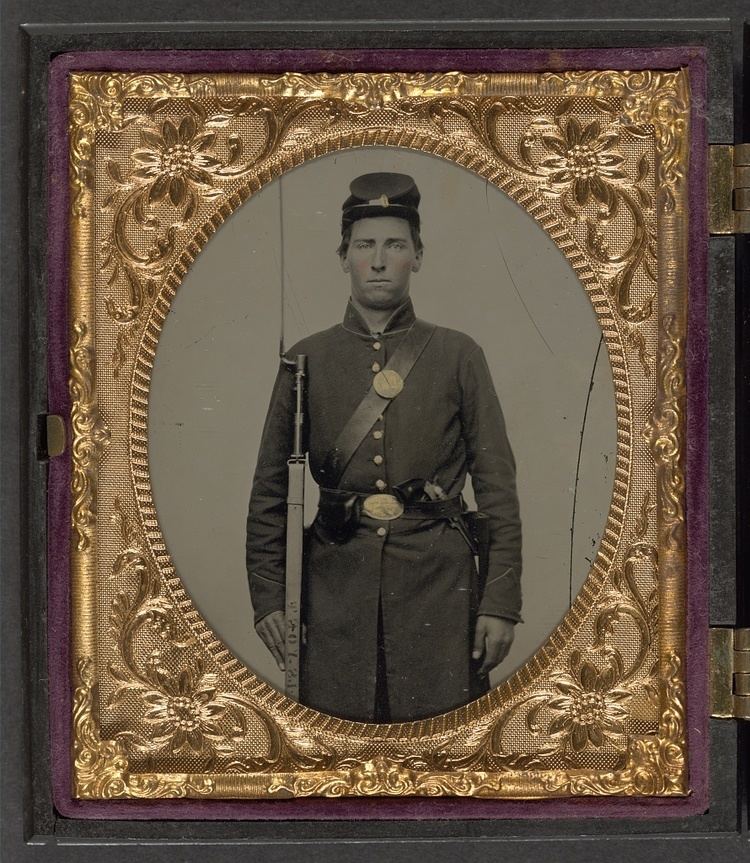 118th Illinois Volunteer Infantry Regiment
