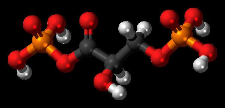 1,3-Bisphosphoglyceric acid 13Bisphosphoglyceric acid Wikiwand