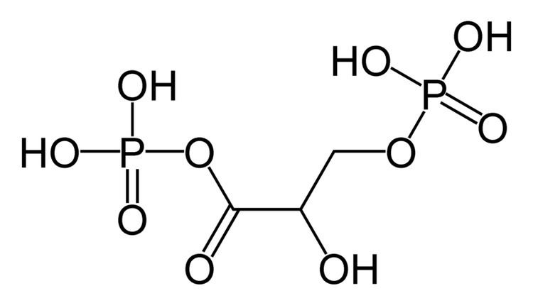 1,3-Bisphosphoglyceric acid httpsuploadwikimediaorgwikipediacommonscc