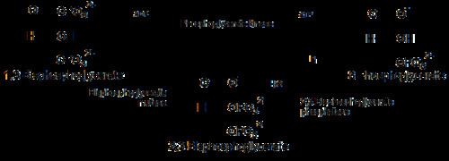 1,3-Bisphosphoglyceric acid 23Bisphosphoglyceric acid Wikipedia