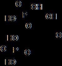 1,3-Bisphosphoglyceric acid 23Bisphosphoglyceric acid Wikipedia