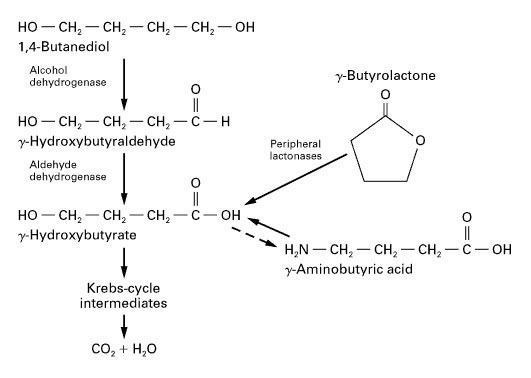 Image result for 1,4 Butanediol