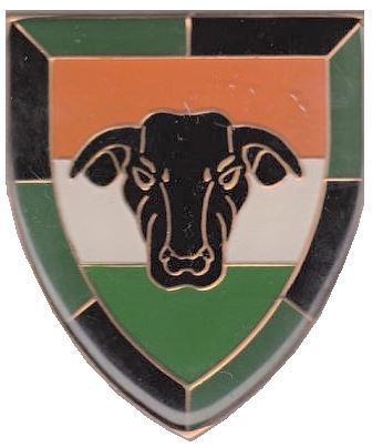 14 South African Infantry Battalion