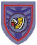 15th Air Transport Wing