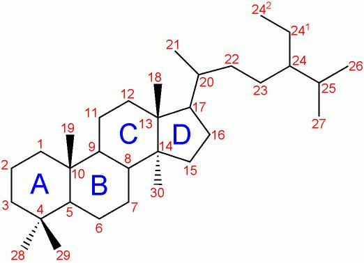 17-Ketosteroid