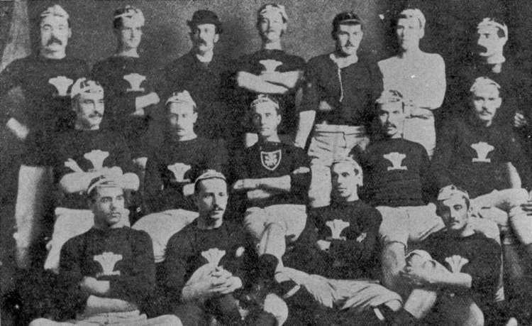 1880–81 Home Nations rugby union matches