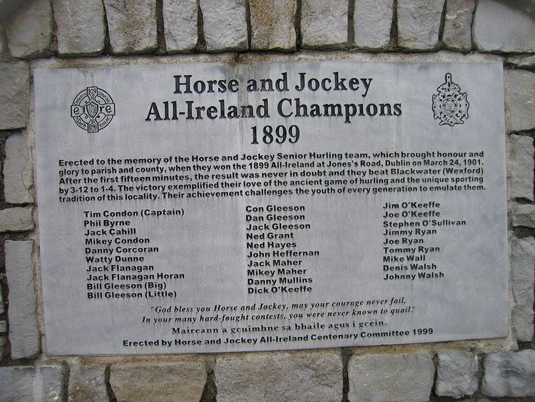 1899 All-Ireland Senior Hurling Championship Final