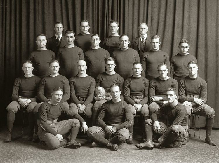 1919 Michigan Wolverines football team