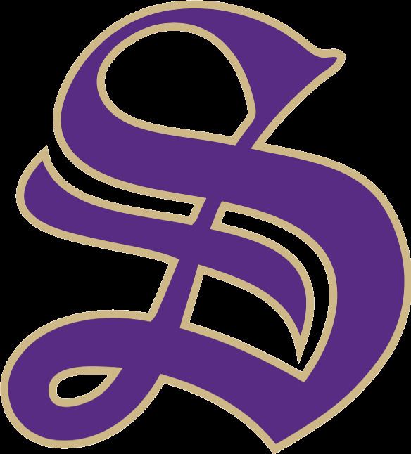1928 Sewanee Tigers football team