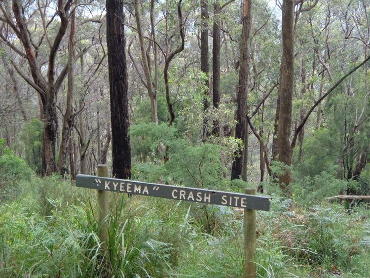 1938 Kyeema crash Beside the Yarra The Kyeema Plane Crash