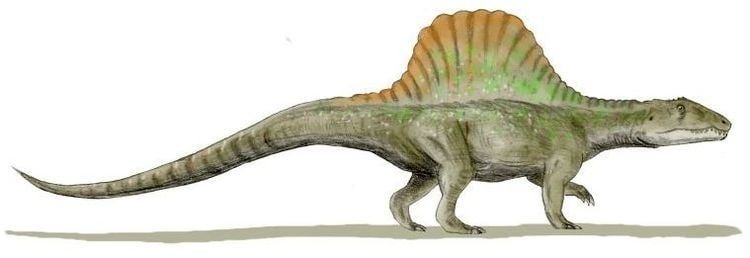 1947 in paleontology