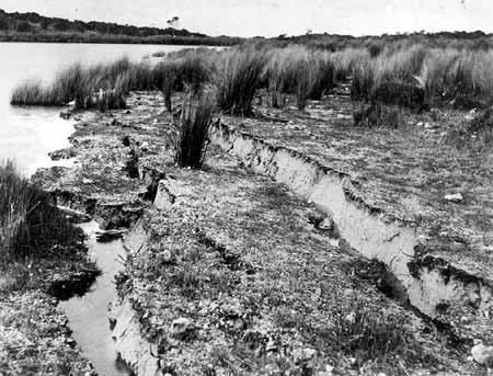 1954 Adelaide earthquake Earthquakes Adelaidia