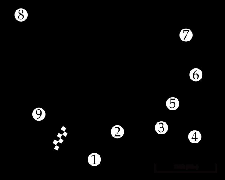 1963 Lady Wigram Trophy