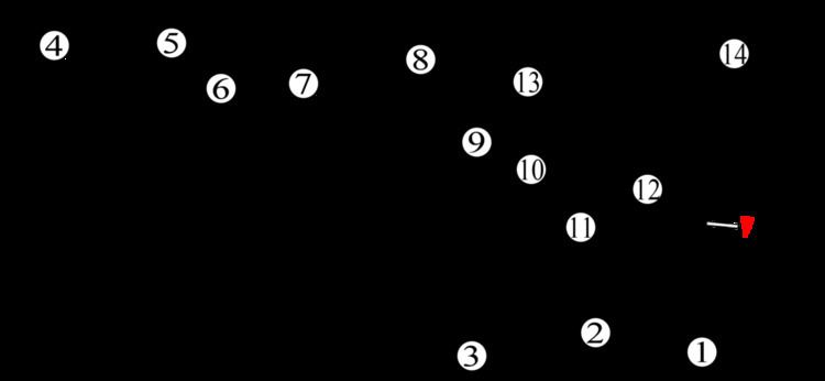 1970 Australian Grand Prix