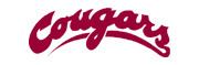 1978 Washington State Cougars football team