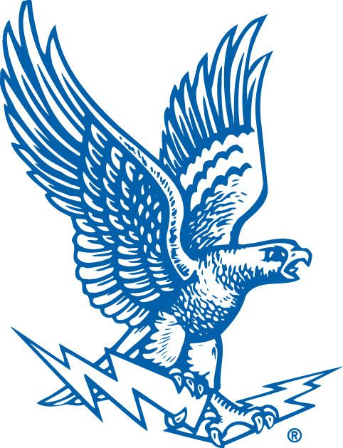 1989 Air Force Falcons football team