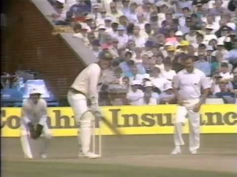 1989 Ashes series httpsiytimgcomviwmv2jBAGaxkhqdefaultjpg