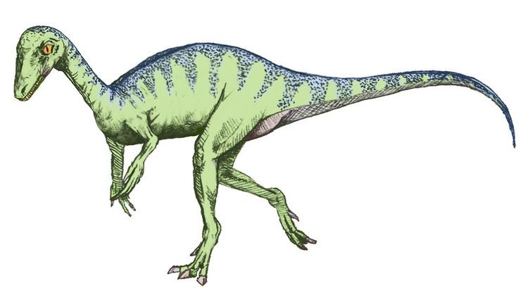 1993 in paleontology