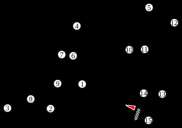 1994 French Grand Prix