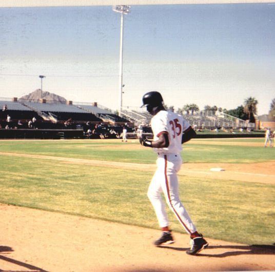 1994–95 Major League Baseball strike