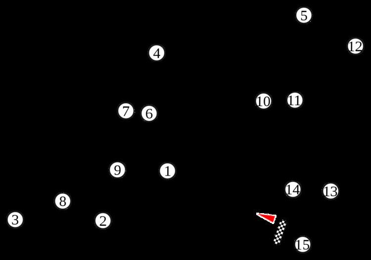 1995 French Grand Prix