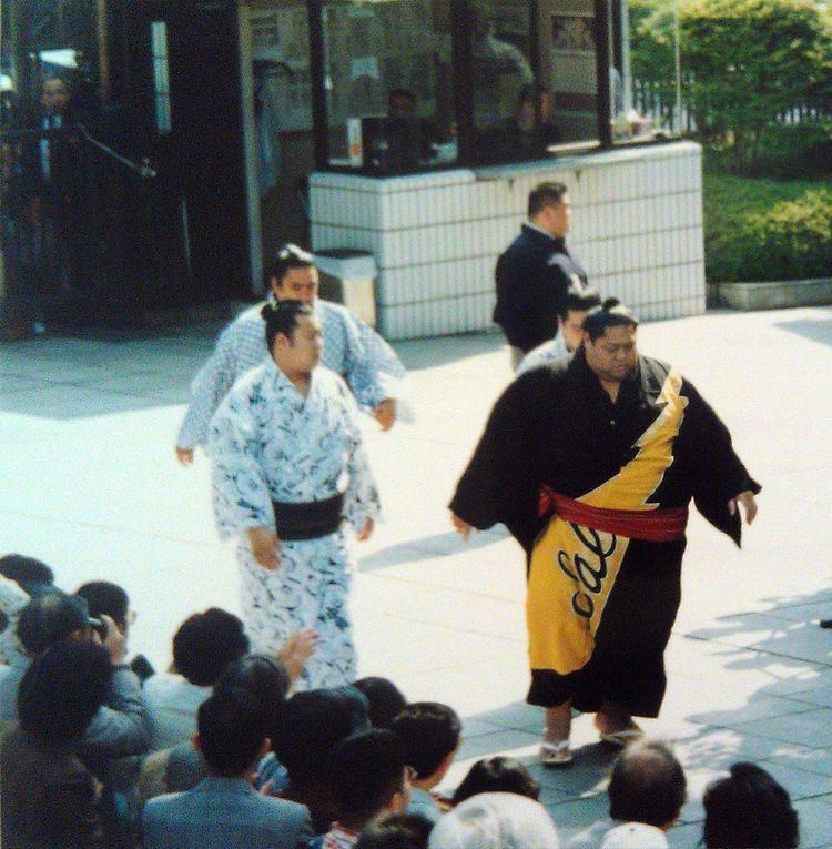 1996 in sumo