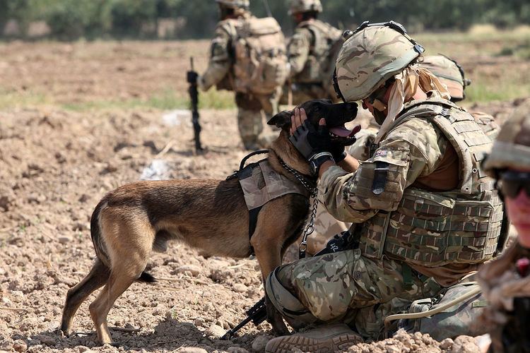 1st Military Working Dog Regiment