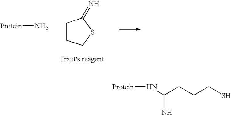 2-Iminothiolane Patent US7217410 Surface modified protein microparticles Google