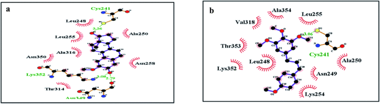 2-Methoxyestradiol Syntheses of 2methoxyestradiol and eugenol template based
