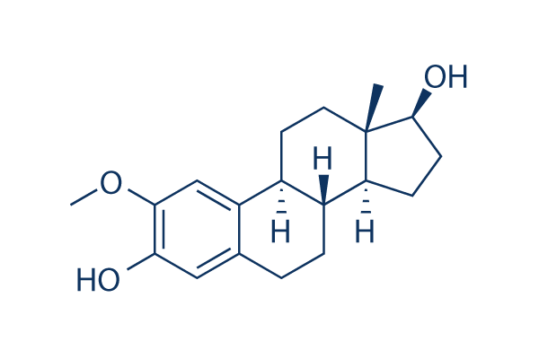2-Methoxyestradiol 2Methoxyestradiol 2MeOE2 HIF inhibitor Read Reviews