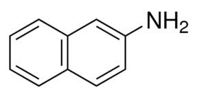 2-Naphthylamine wwwsigmaaldrichcomcontentdamsigmaaldrichstr