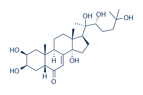 20-Hydroxyecdysone 20Hydroxyecdysone Read Reviews amp Product Use Citations