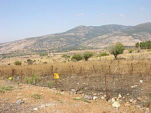 2000–06 Shebaa Farms conflict httpsuploadwikimediaorgwikipediacommonsthu
