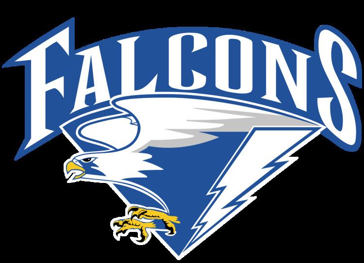 2002 Air Force Falcons football team