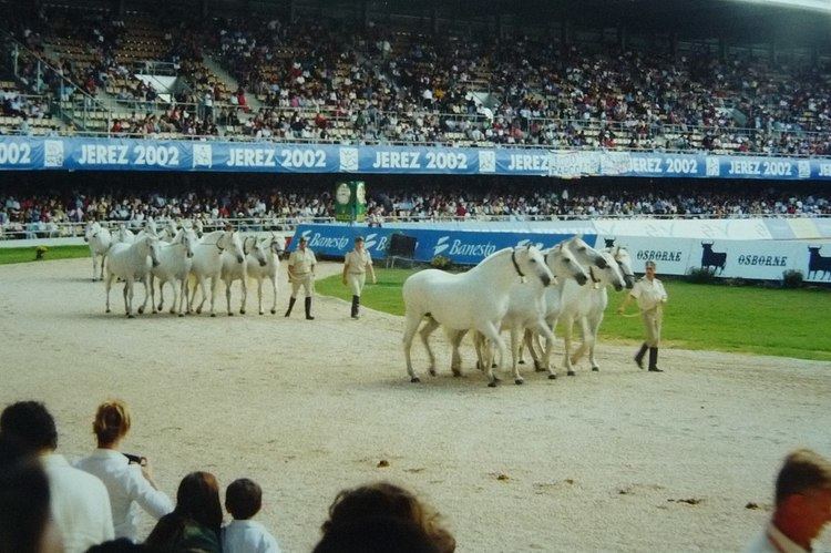 2002 FEI World Equestrian Games