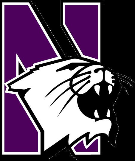 2003 Northwestern Wildcats football team
