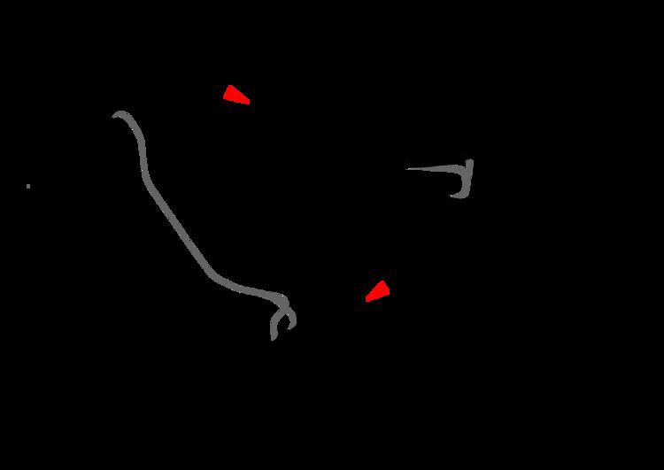 2005 German Grand Prix