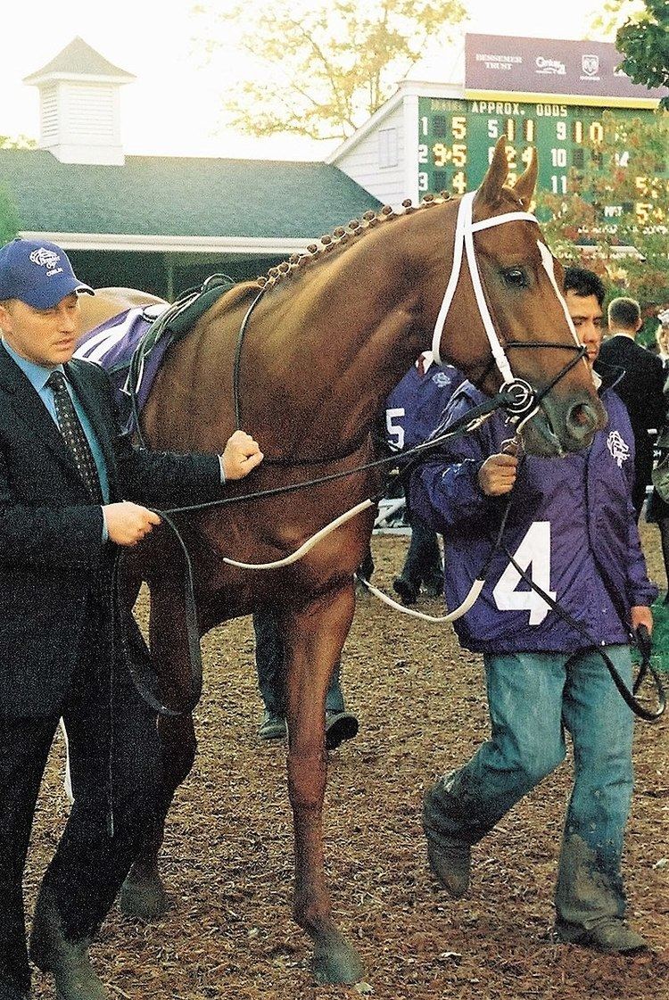 2007 Breeders' Cup Classic