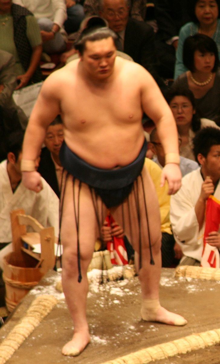 2007 in sumo